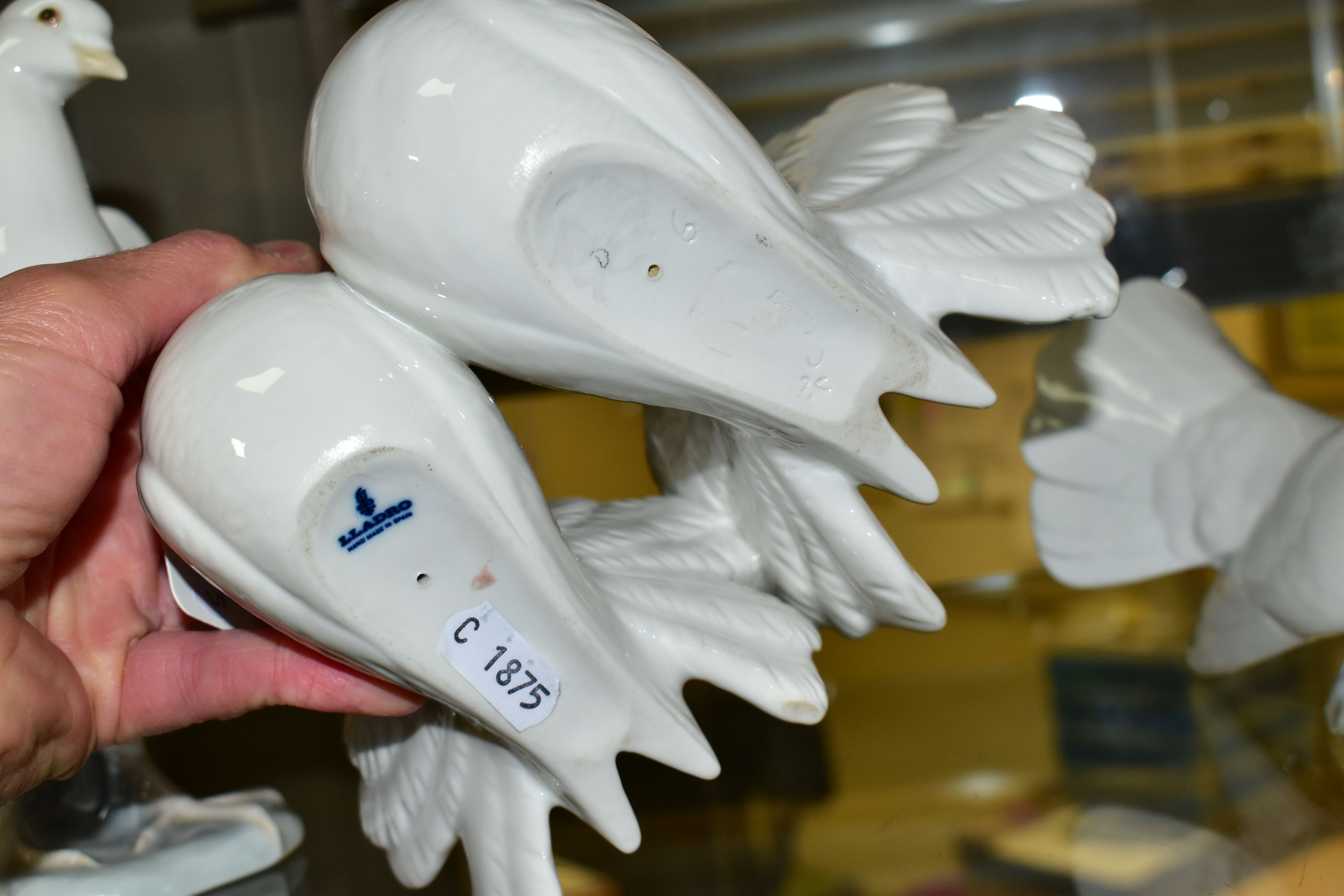 THREE LLADRO DOVE FIGURINES, comprising a Couple of Doves - 1169 sculpted by Antonio Ballester - Image 3 of 4