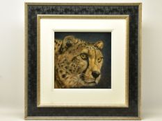 VALERIE SIMMS (BRITISH 1965) 'EYES BRIGHT', a portrait study of a cheetah, signed bottom right,