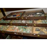 EIGHT DRAWERS CONTAINING A VICTORIAN COLLECTION OF FOSSILS, to include over one hundred fossil