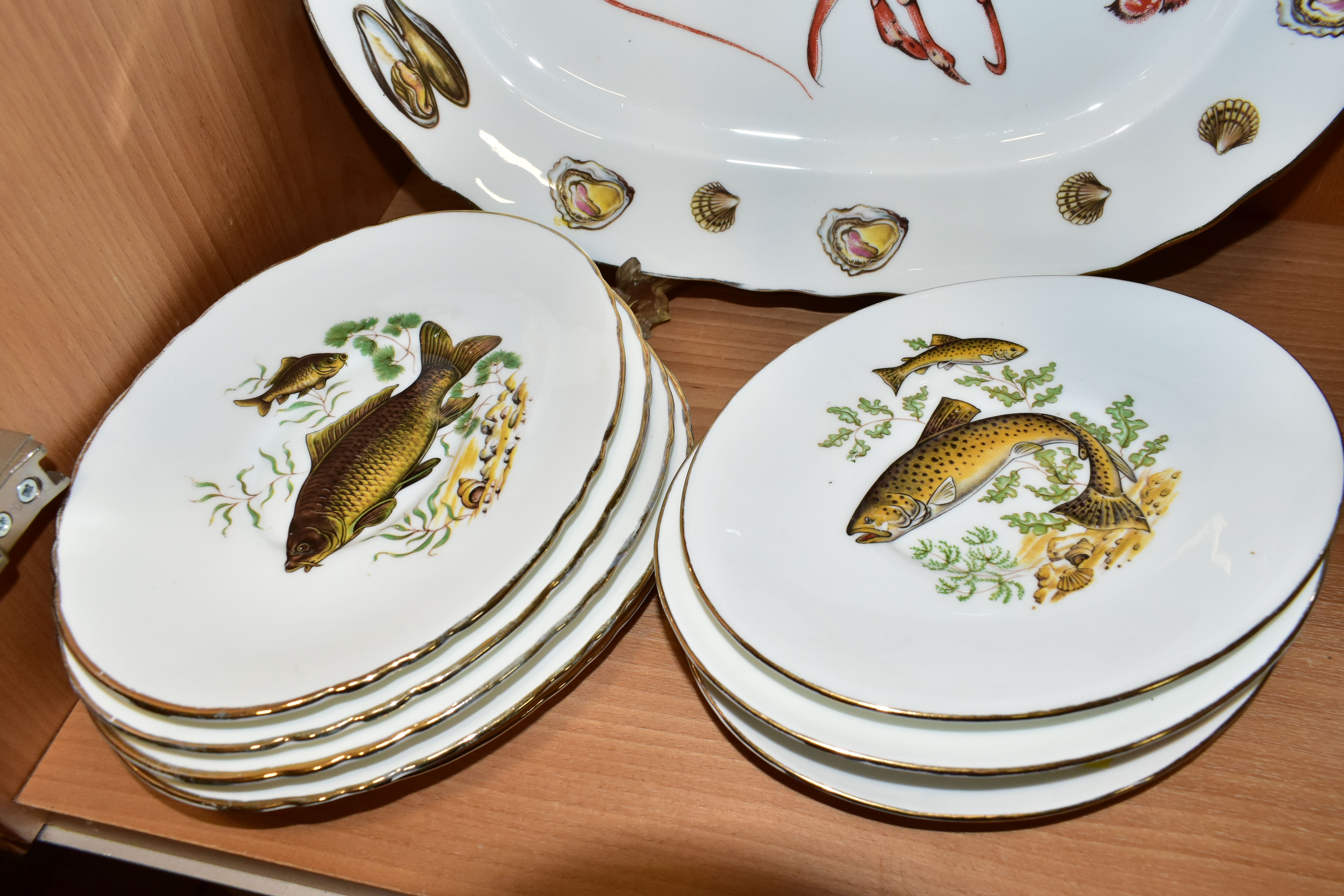 TWELVE PIECES OF AYNSLEY BONE CHINA PRINTED WITH FISH AND SHELLFISH DESIGNS, comprising an oval - Image 3 of 7