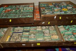 EIGHT DRAWERS AND A BOX CONTAINING A VINTAGE COLLECTION OF SEA SHELLS, a large collection,