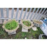 THREE COMPOSITE GARDEN URNS in the form of an Acanthus leaf bowl on a separate base height 45cm