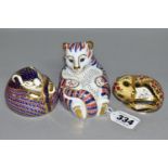 THREE ROYAL CROWN DERBY PAPERWEIGHTS, all with gold stoppers, comprising Tiger Cub with date code