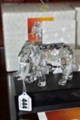 A BOXED SWAROVSKI COLLECTORS SOCIETY ANNUAL FIGURE FROM INSPIRATION AFRICA TRILOGY - ELEPHANT