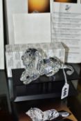 A BOXED SWAROVSKI COLLECTORS SOCIETY ANNUAL FIGURE FROM INSPIRATION AFRICA TRILOGY - LION 1995 (