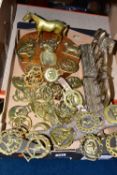 A BOX OF HORSE BRASSES AND EQUINE THEMED BRASS WARES, to include a brass horse and horseshoe