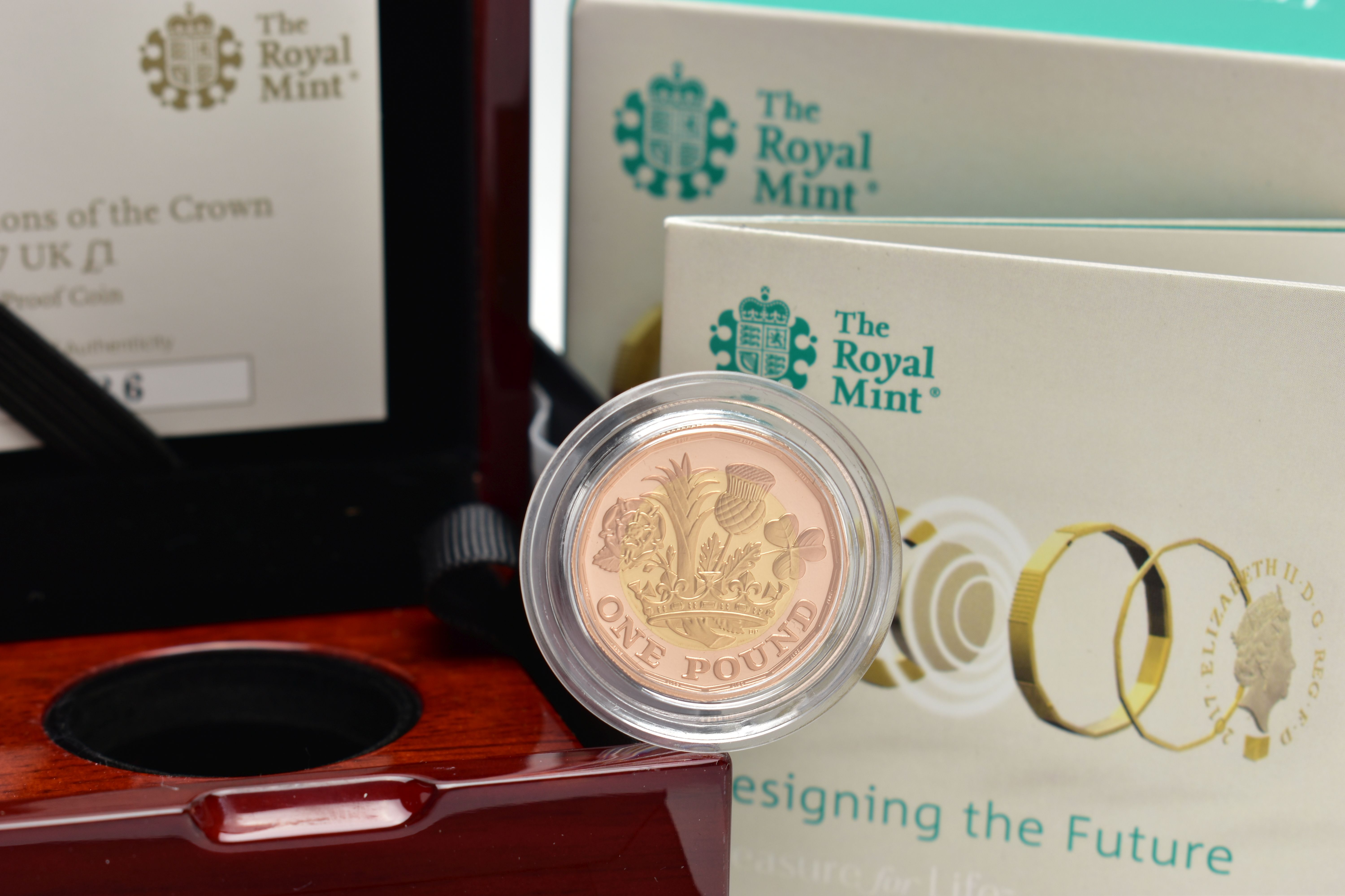 A ROYAL MINT DESIGNING THE FUTURE NATIONS OF THE CROWN GOLD PROOF ONE POUND COIN, 22ct, 0.916 fine