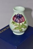 A BOXED MOORCROFT POTTERY SQUAT BALUSTER TRIAL VASE DECORATED WITH ANEMONE ON A CELADON GREEN