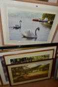 TEN LATER 20TH CENTURY PRINTS, comprising Ian Nathan signed limited edition print of swans 'Family