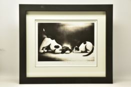 DOUG HYDE (BRITISH 1972) 'CLOSE TO YOU', a signed limited edition print depicting a cat and dog nose