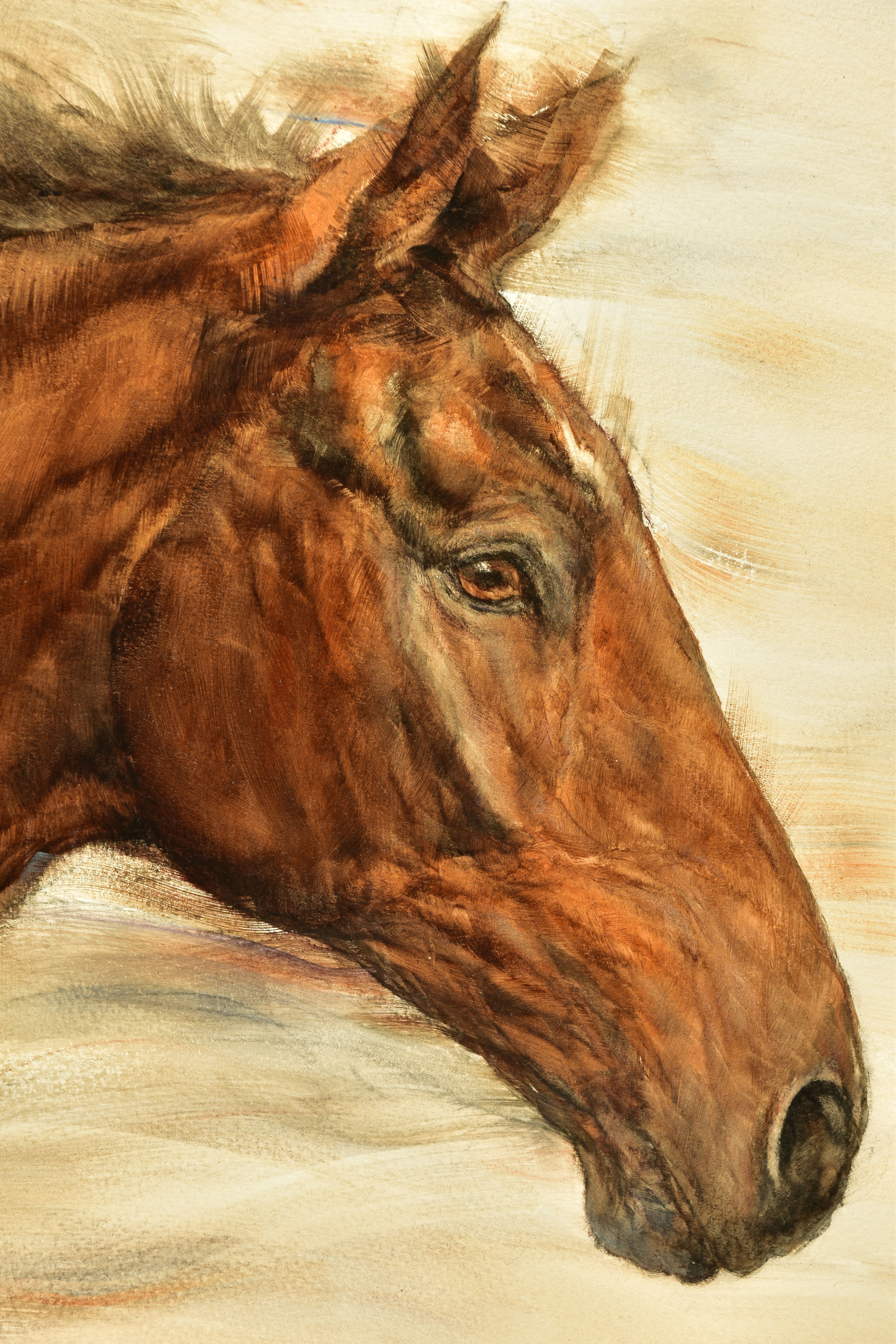 GARY BENFIELD (BRITISH 1961) 'SOFT BREEZE', a portrait study of a brown horse, signed bottom - Image 3 of 6