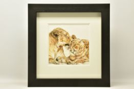 ATTRIBUTED TO HAYLEY GOODHEAD (BRITISH CONTEMPORARY) 'LIONS LOVE STUDY', a pencil sketch in