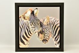 DARRYN EGGLETON (SOUTH AFRICA 1981) 'TENDER TOUCH', a signed limited edition print of two zebras,