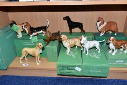 NINE BOXED BESWICK DOG FIGURES, comprising a white gloss Bull Terrier 'Romany Rhinestone' - Large