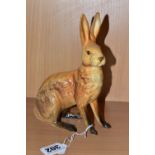 A BESWICK FIGURE OF A SEATED HARE, model no 1025, tan gloss finish, issued 1945-1963, height 18cm,