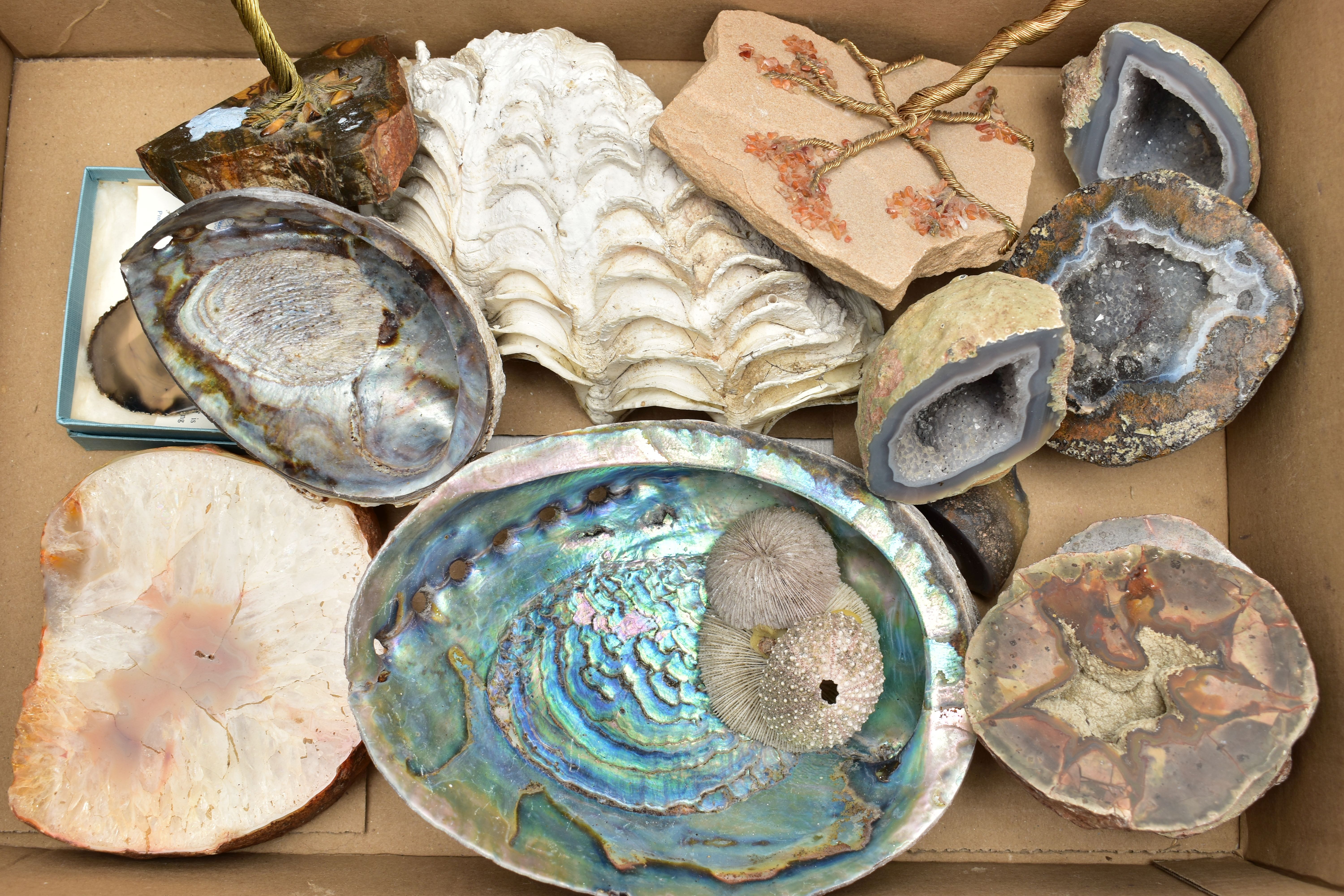 A BOX OF MINERAL SPECIEMENS, to include four semi-precious gemstone set tree ornaments fitted with - Image 4 of 4