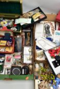 A BOX OF ASSORTED COSTUME JEWELLERY AND ITEMS, to include a 'Robertsons' mascot enamelled pin