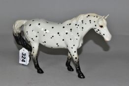 A BESWICK APPALOOSA (SPOTTED WALKING PONY), model no 1516, printed backstamp, height 13cm (1) (