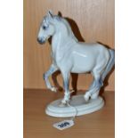 A ROYAL COPENHAGEN FIGURE OF A PRANCING LIPPIZANER STALLION, standing on an oval tiered base,