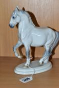 A ROYAL COPENHAGEN FIGURE OF A PRANCING LIPPIZANER STALLION, standing on an oval tiered base,