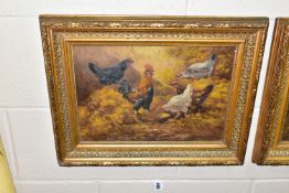 ATTRIBUTED TO PAUL HENRY SCHOUTEN (1860-1922) A COCKEREL AND HENS, four hens and a cockerel are