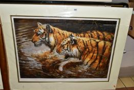 MICHAEL JACKSON (BRITISH 1962) 'GRACE & DANGER', a signed limited edition print depicting two tigers
