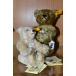 TWO STIEFF BEARS WITH ORIGINAL TAGS AND LABELS, the larger bear is from the Classic series '1920