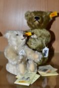 TWO STIEFF BEARS WITH ORIGINAL TAGS AND LABELS, the larger bear is from the Classic series '1920