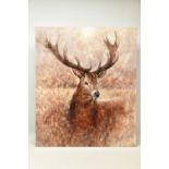 GARY BENFIELD (BRITISH CONTEMPORARY) 'NOBLE' a signed limited edition print of a stag, 55/195,