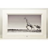 ANUP SHAH (KENYA CONTEMPORARY) 'DANCE', a signed limited edition photographic print depicting a