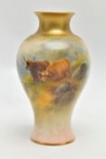 A HARRY STINTON FOR ROYAL WORCESTER INVERTED BALUSTER VASE PAINTED WITH HIGHLAND CATTLE, gilt rim