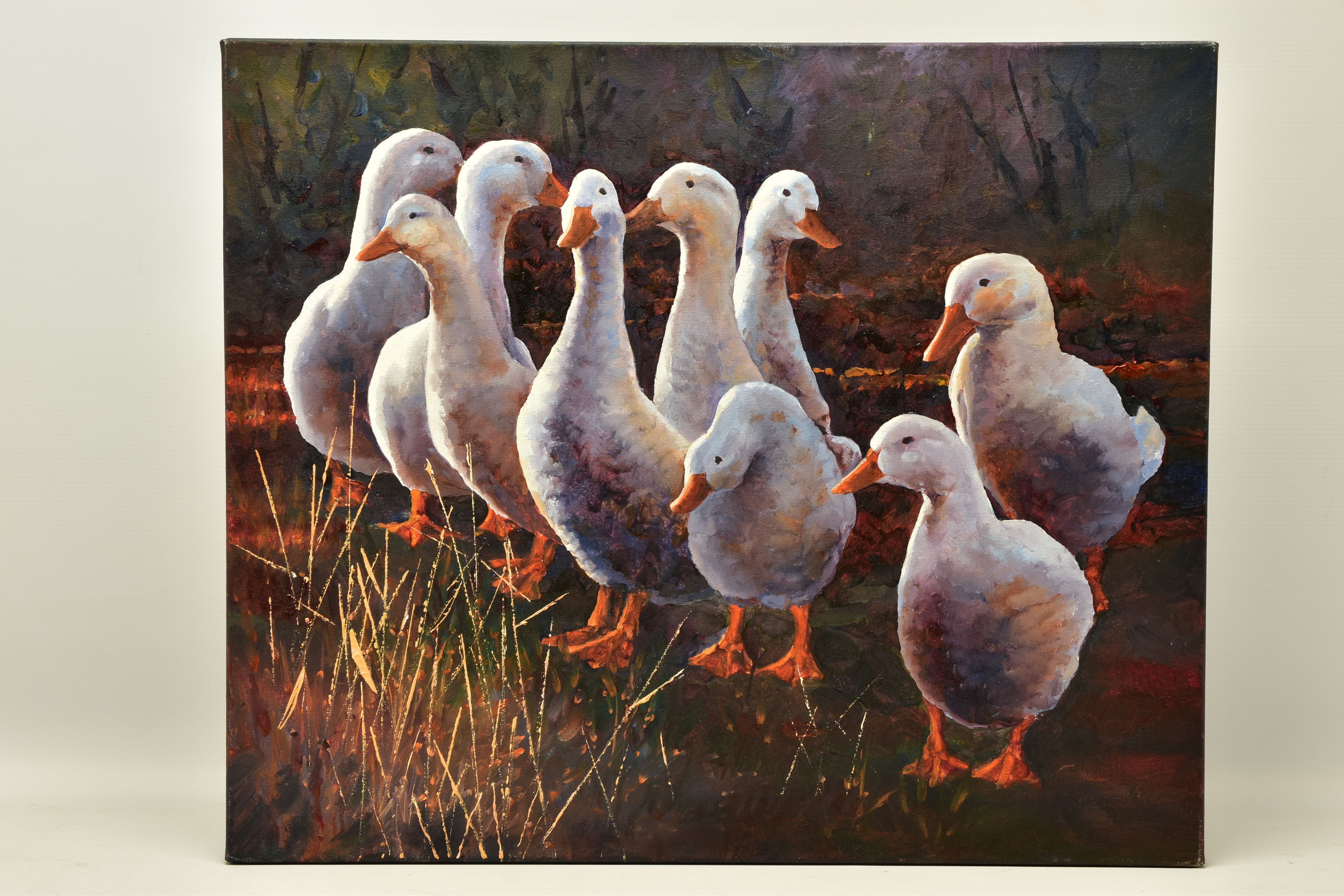 AN UNSIGNED STUDY OF NINE DUCKS, a box framed oil on canvas, approximate size 61cm x 51cm,