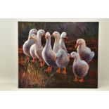 AN UNSIGNED STUDY OF NINE DUCKS, a box framed oil on canvas, approximate size 61cm x 51cm,