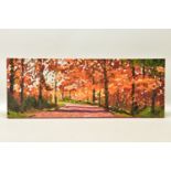 TIMMY MALLETT (BRITISH CONTEMPORARY) 'WOODLAND WALK', a signed limited edition box canvas print,