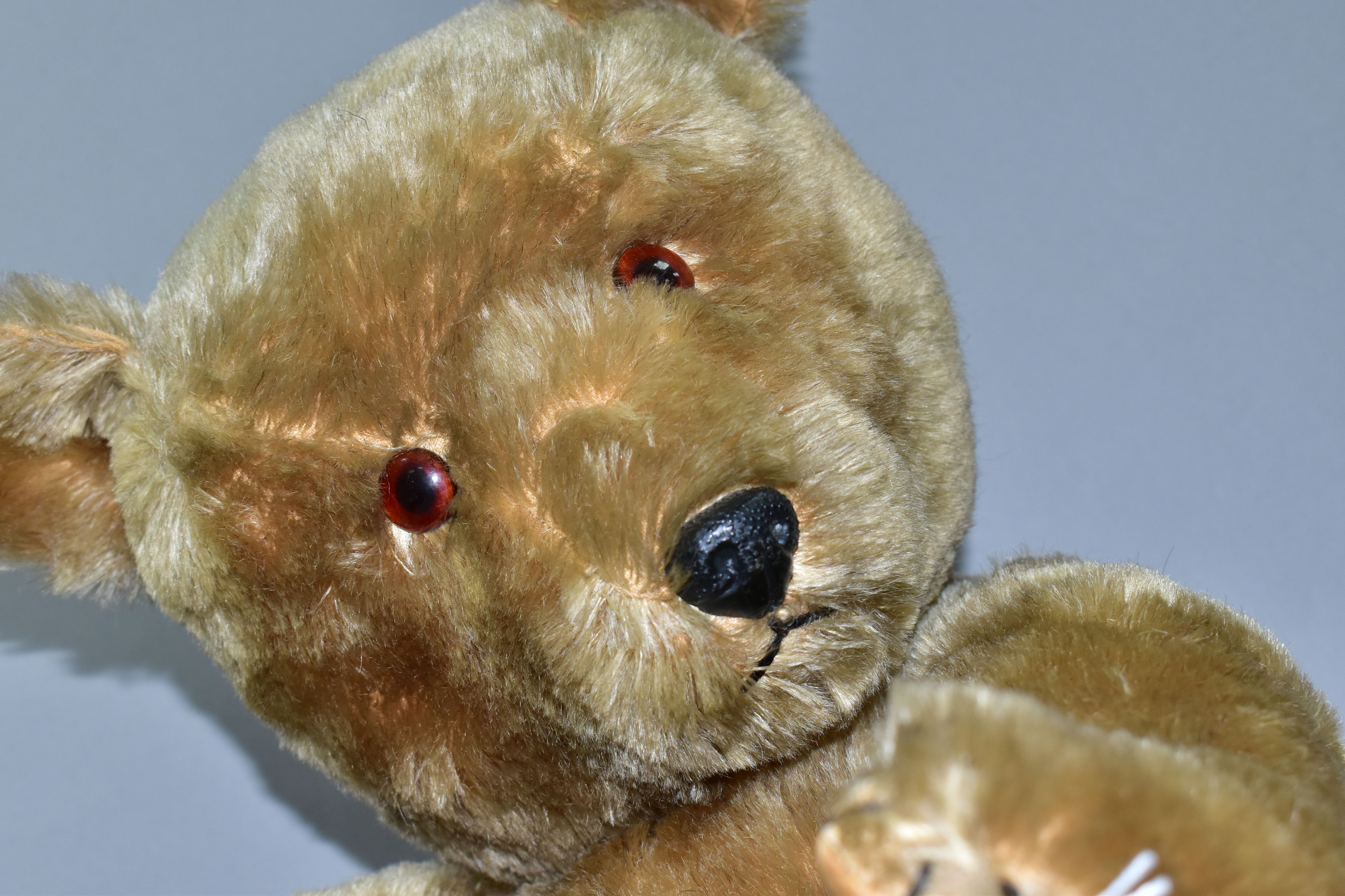 A 20TH CENTURY CHILTERN HYGIENIC TOYS TEDDY BEAR, disc joints, stitched features, blonde mohair, - Image 2 of 5