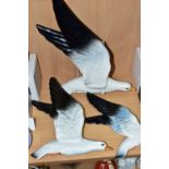 THREE BESWICK SEAGULL WALL PLAQUES, of ascending sizes, style two, model no 922 - gloss, approximate