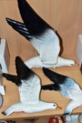 THREE BESWICK SEAGULL WALL PLAQUES, of ascending sizes, style two, model no 922 - gloss, approximate