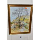 EDWARD STEEL-HARPER (BRITISH 1878-1951) 'THE SILVER BIRCH TREE', a landscape featuring a lone