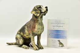 APRIL SHEPHERD (BRITISH CONTEMPORARY) 'PAYING ATTENTION', a limited edition sculpture of a dog,