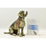 APRIL SHEPHERD (BRITISH CONTEMPORARY) 'PAYING ATTENTION', a limited edition sculpture of a dog,