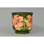 A MOORCROFT POTTERY PLANTER, in the Coral Hibiscus pattern on a green ground, height 12.5cm x