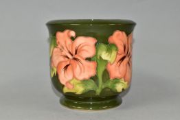 A MOORCROFT POTTERY PLANTER, in the Coral Hibiscus pattern on a green ground, height 12.5cm x