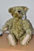 A STEIFF CLASSIC REPLICA BEAR, with light golden mohair, almond felt pads, wood wool stuffing,