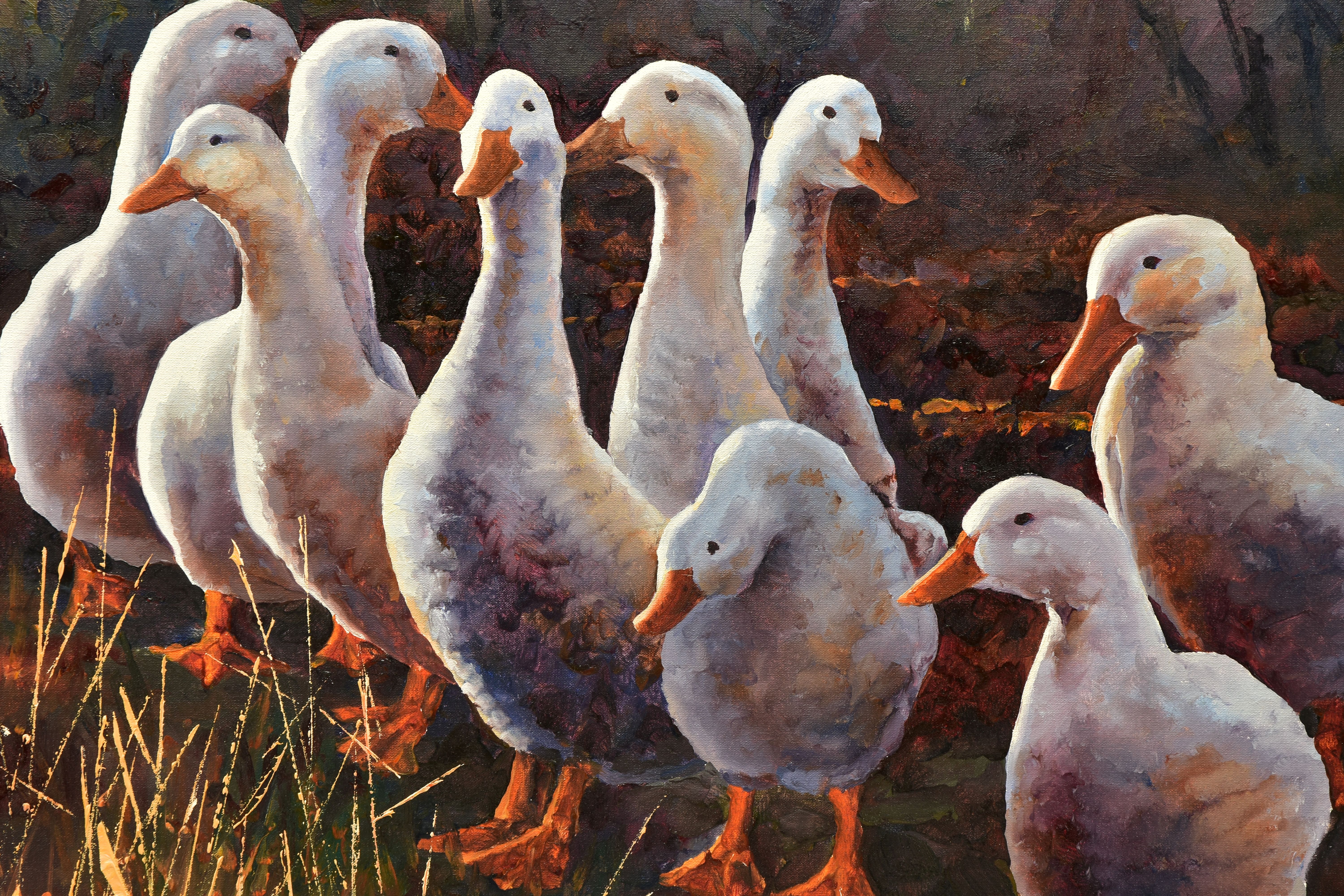 AN UNSIGNED STUDY OF NINE DUCKS, a box framed oil on canvas, approximate size 61cm x 51cm, - Image 2 of 5