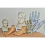 A COLLECTION OF PHRENOLOGY, PALMISTRY AND OTHER MODELS, comprising two ceramic phrenology heads