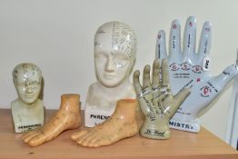 A COLLECTION OF PHRENOLOGY, PALMISTRY AND OTHER MODELS, comprising two ceramic phrenology heads