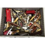 A METAL CASE WITH A LARGE QUANTITY OF POCKET KNIVES AND FRUIT KNIVES, large quantity of pocket and