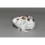 A ROYAL CROWN DERBY BANK VOLE PAPERWEIGHT, complimentary to members of the Royal Crown Derby