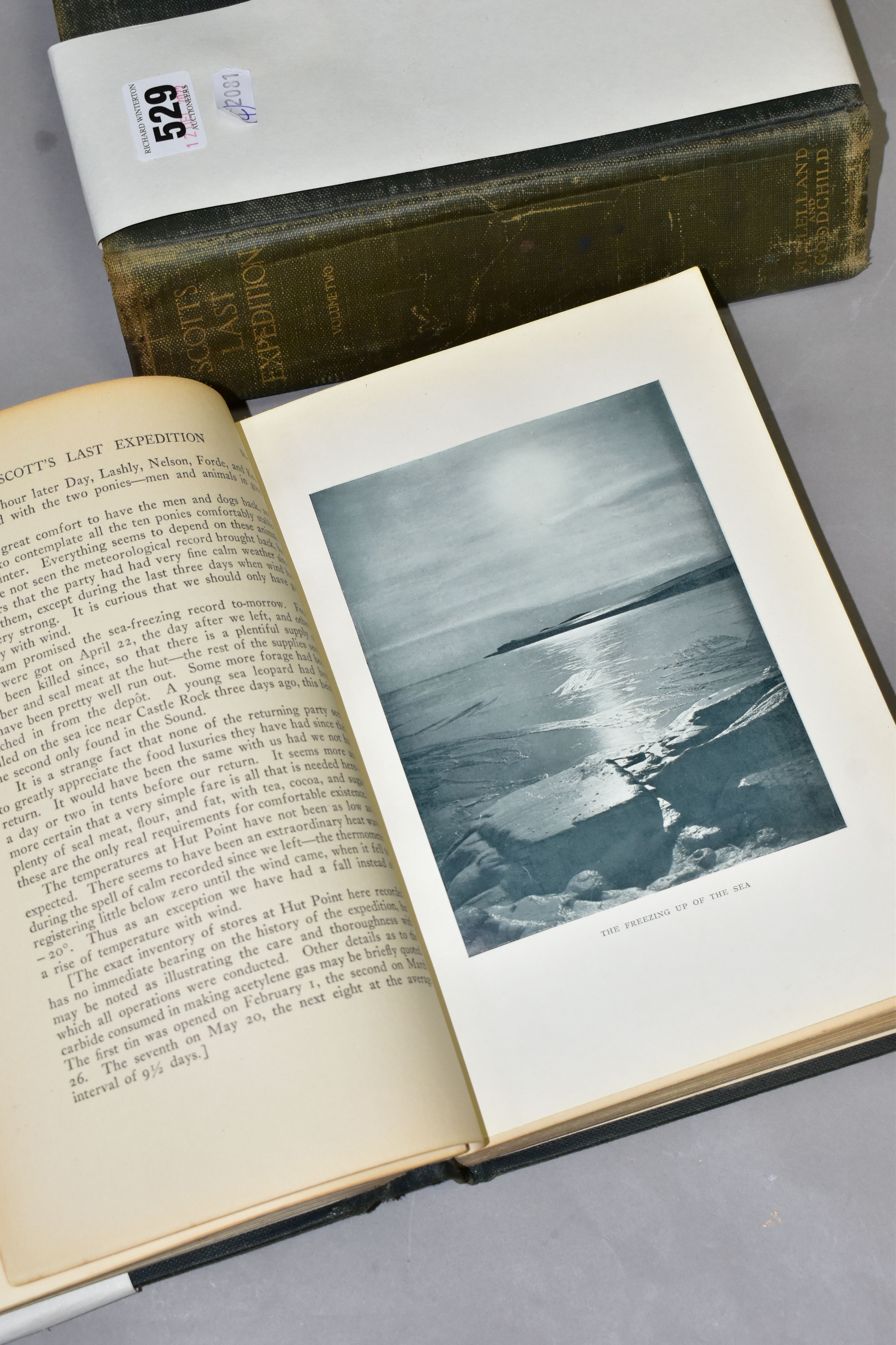 SCOTT'S LAST EXPEDITION, Vols.1 & 2, American 1st Edition published by McClellend and Goodchild, - Image 7 of 12