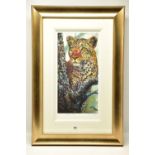 ROLF HARRIS (AUSTRALIA 1930) 'ALERT FOR PREY' a limited edition print of a Leopard 62/195, signed to
